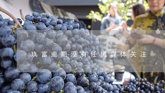 玖富逾期没有任何媒体关注