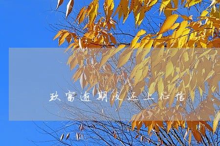 玖富逾期没还上征信 玖富逾期没还上征信