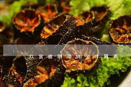 玖富逾期滞纳金计算表 玖富逾期滞纳金计算表