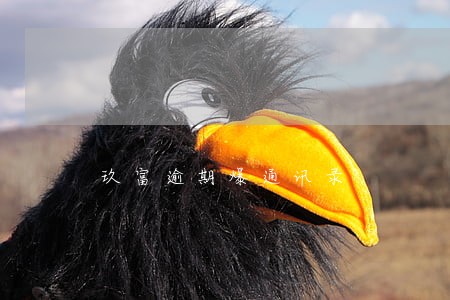 玖富逾期爆通讯录