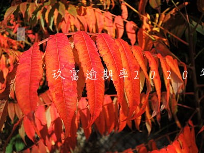玖富逾期率2020年 玖富逾期率2020年