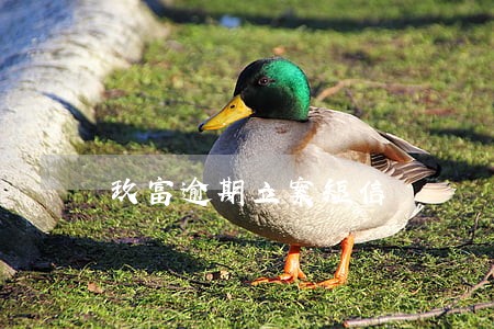 玖富逾期立案短信 玖富逾期立案短信