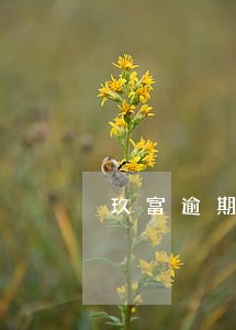 玖富逾期给单位打电话 玖富逾期给单位打电话