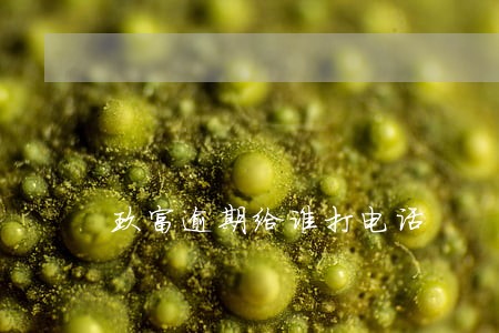 玖富逾期给谁打电话 玖富逾期给谁打电话