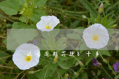 玖富逾期罚款8千多 玖富逾期罚款8千多