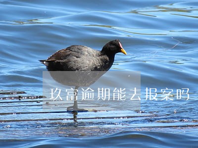 玖富逾期能去报案吗 玖富逾期能去报案吗