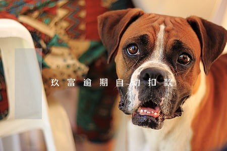 玖富逾期自动扣款 玖富逾期自动扣款