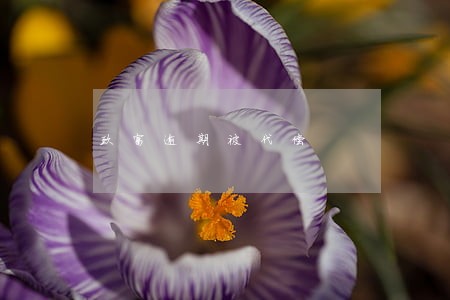 玖富逾期被代偿 玖富逾期被代偿