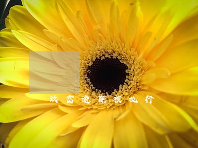 玖富逾期被执行 玖富逾期被执行