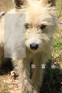 玖富逾期记录怎么消 玖富逾期记录怎么消