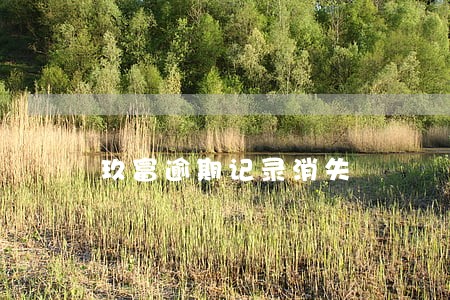玖富逾期记录消失 玖富逾期记录消失