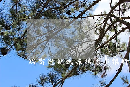玖富逾期说冻结名下银行账户