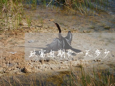 玖富逾期费一天多少 玖富逾期费一天多少