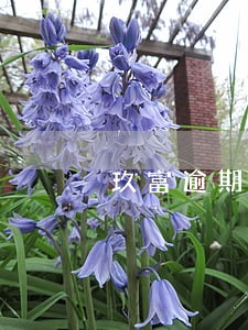 玖富逾期费用太高 玖富逾期费用太高