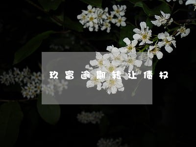玖富逾期转让债权 玖富逾期转让债权