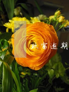 玖富逾期还能再申请吗