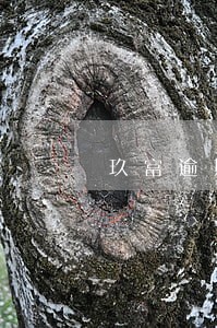 玖富逾期逃废债 玖富逾期逃废债