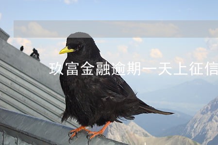 玖富金融逾期一天上征信吗 玖富金融逾期一天上征信吗