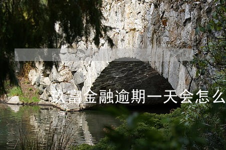 玖富金融逾期一天会怎么处理 玖富金融逾期一天会怎么处理
