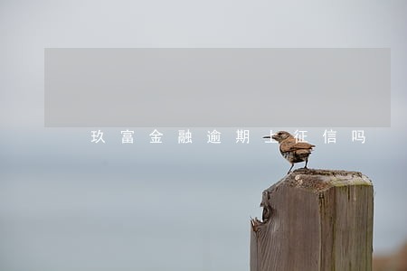 玖富金融逾期上征信吗 玖富金融逾期上征信吗