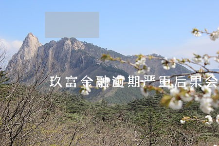 玖富金融逾期严重后果会怎么样 玖富金融逾期严重后果会怎么样