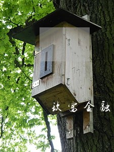 玖富金融逾期了怎么办