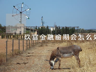 玖富金融逾期会怎么处理