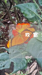 玖富金融逾期贷款 玖富金融逾期贷款