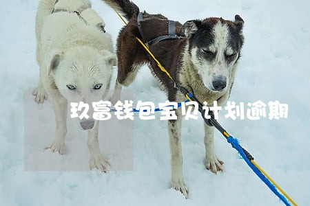 玖富钱包宝贝计划逾期