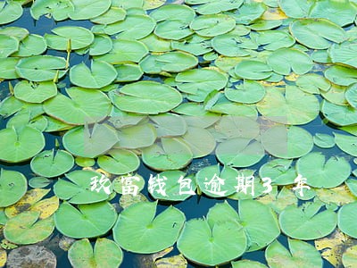 玖富钱包逾期3年 玖富钱包逾期3年