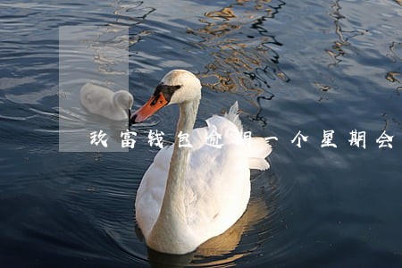 玖富钱包逾期一个星期会怎么样