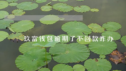 玖富钱包逾期了不回款咋办