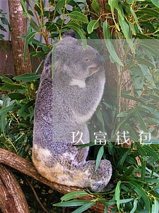 玖富钱包逾期什么时候回款