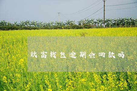 玖富钱包逾期会回款吗