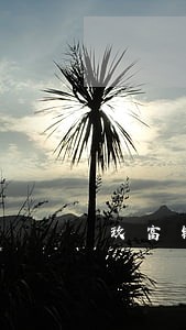 玖富钱包逾期兑付