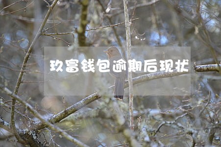 玖富钱包逾期后现状