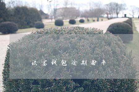 玖富钱包逾期四年 玖富钱包逾期四年