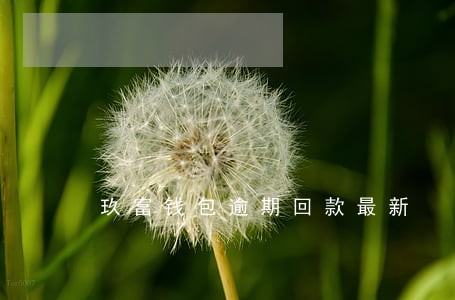 玖富钱包逾期回款最新