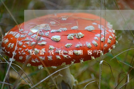玖富钱包逾期客户 玖富钱包逾期客户