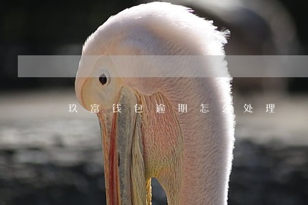 玖富钱包逾期怎么处理 玖富钱包逾期怎么处理