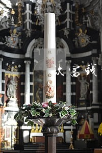 玖富钱包逾期陆续更新状态