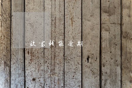 玖富钱袋逾期