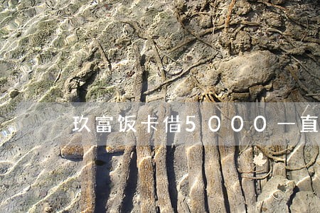 玖富饭卡借5000一直逾期 玖富饭卡借5000一直逾期