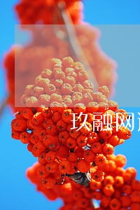 玖融网逾期了 玖融网逾期了