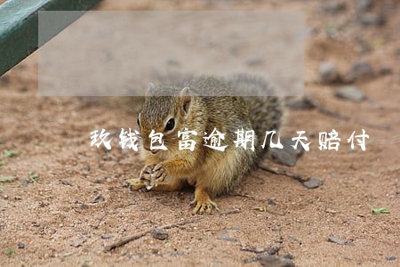 玖钱包富逾期几天赔付
