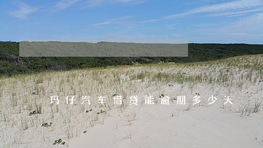 玛仔汽车借贷能逾期多少天 玛仔汽车借贷能逾期多少天
