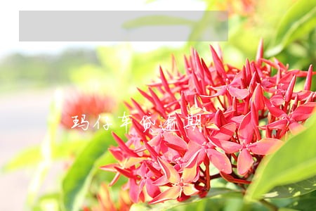 玛仔车贷逾期 玛仔车贷逾期
