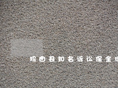 玛曲县知名诉讼保全律师 玛曲县知名诉讼保全律师