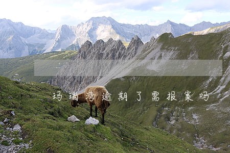 玛瑙湾逾期了需报案吗 玛瑙湾逾期了需报案吗