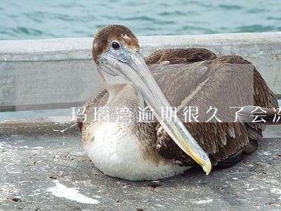 玛瑙湾逾期很久了会冻结账户